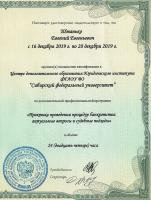 Сертификат филиала ​Партизана Железняка 18 202А
